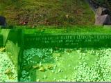 image of grave number 171627